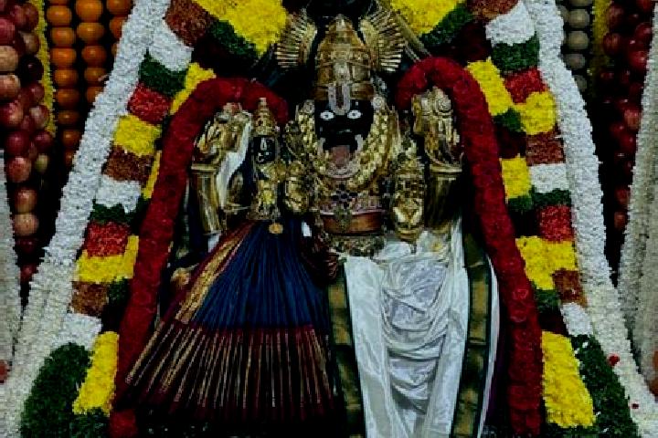 Escorts Kumarapalayam, India — Local Companions
