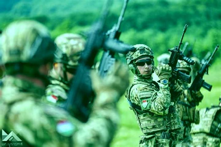 Escorts Kupres, Bosnia and Herzegovina — Local Companions