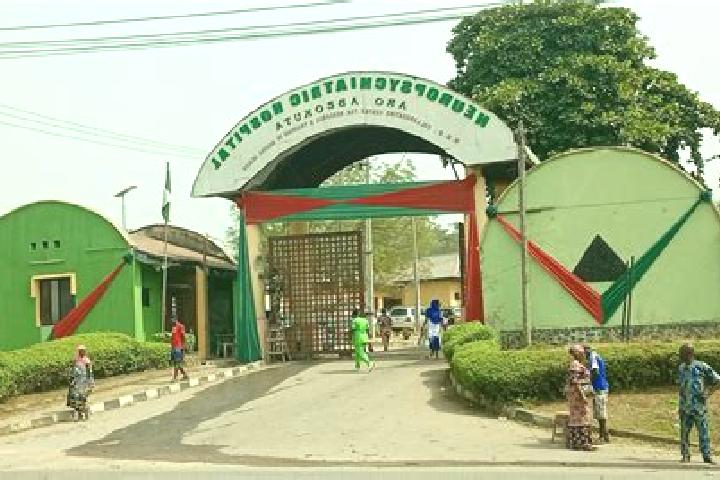 Escorts Kware, Nigeria — Local Companions