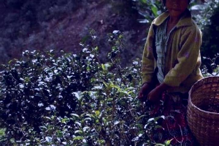 Escorts Kyaik Htaw South, Myanmar — Local Companions