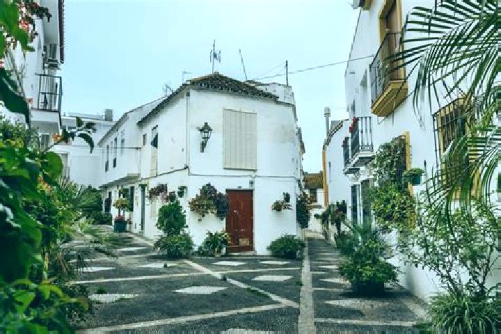 Escorts La Albuera, Spain — Local Companions