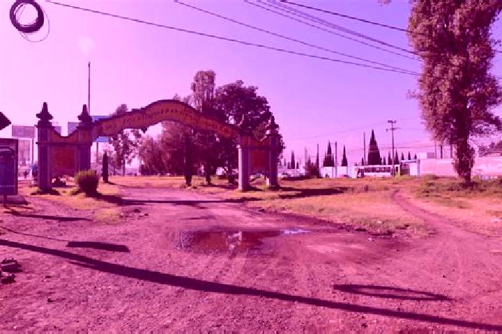 Escorts La Concepcion, Mexico — Local Companions