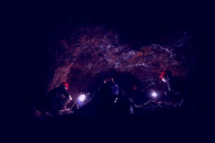 Escorts La Cueva, Bolivia — Local Companions