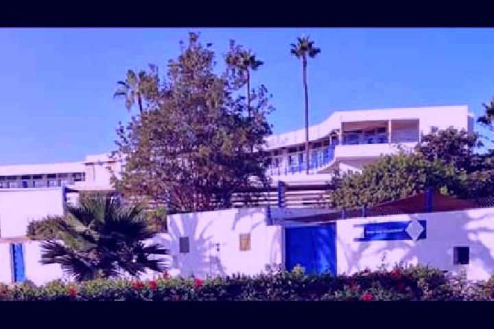 Escorts La Mohammedia, Tunisia — Local Companions