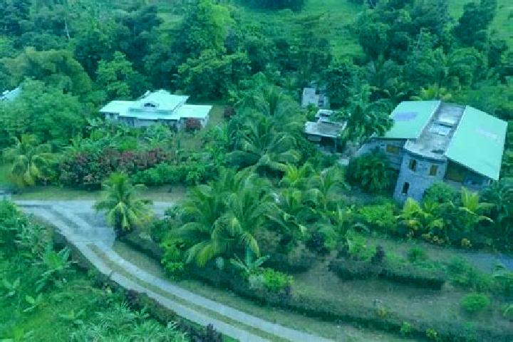 Escorts La Plaine, Dominica — Local Companions