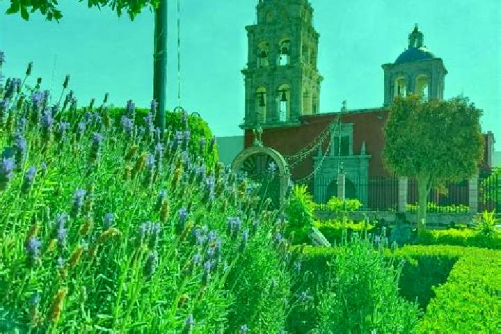 Escorts La Purisima, Mexico — Local Companions