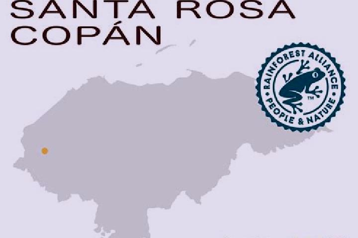 Escorts La Rosa, Honduras — Local Companions