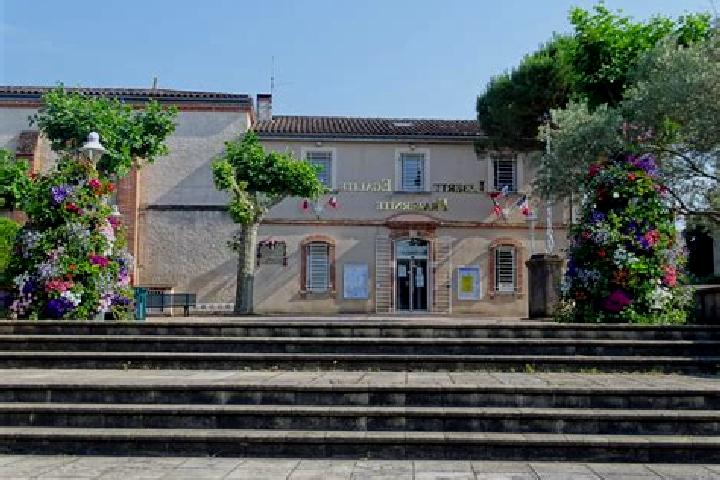 Escorts La Salvetat-Saint-Gilles, France — Local Companions