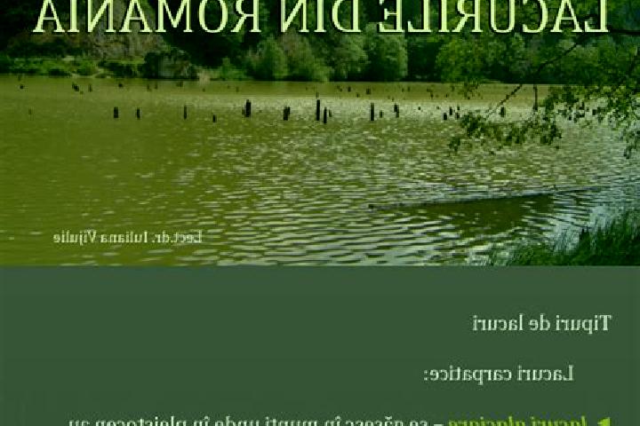 Escorts Lacurile, Romania — Local Companions