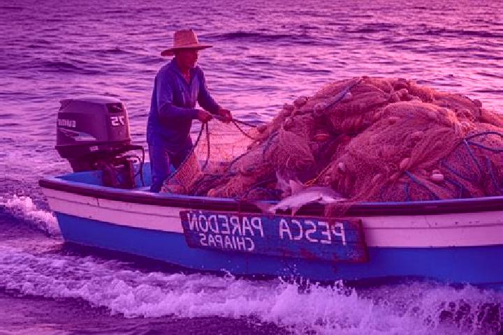 Escorts Ladrillera Pescador, Mexico — Local Companions