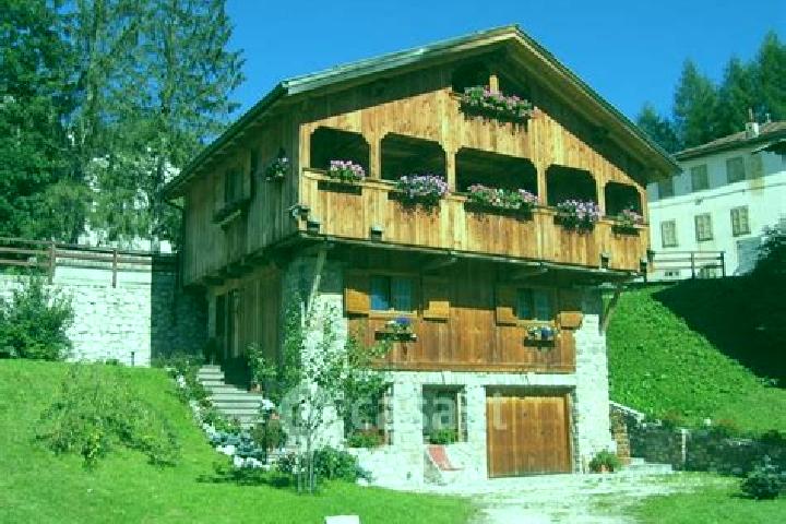 Escorts Laggio di Cadore, Italy — Local Companions