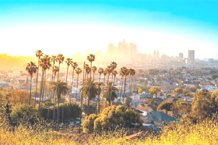 Escorts Lake Los Angeles, United States — Local Companions
