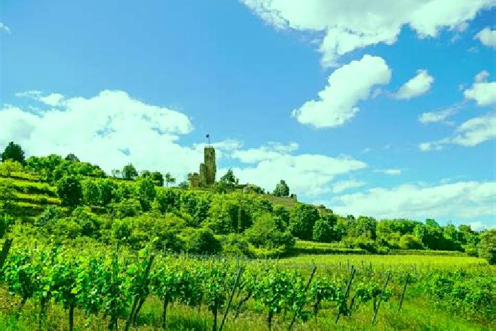 Escorts Landau in der Pfalz, Germany — Local Companions
