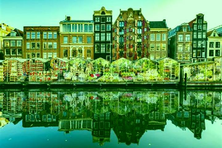Escorts Langeheit, Netherlands — Local Companions