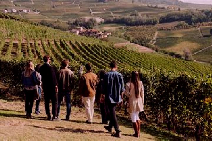 Escorts Langhe, China — Local Companions