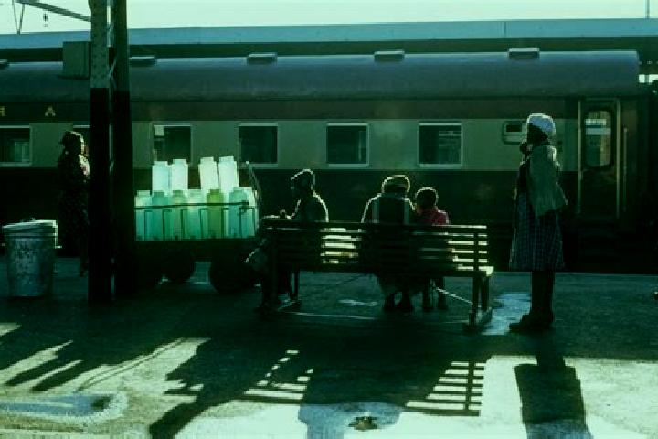 Escorts Lansdowne, South Africa — Local Companions