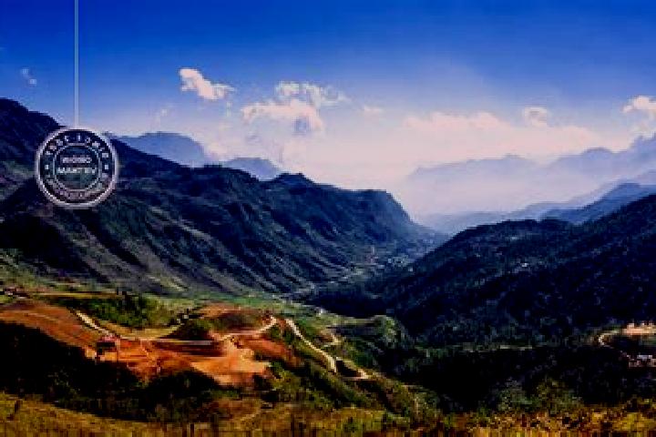 Escorts Lao Cai, Vietnam — Local Companions