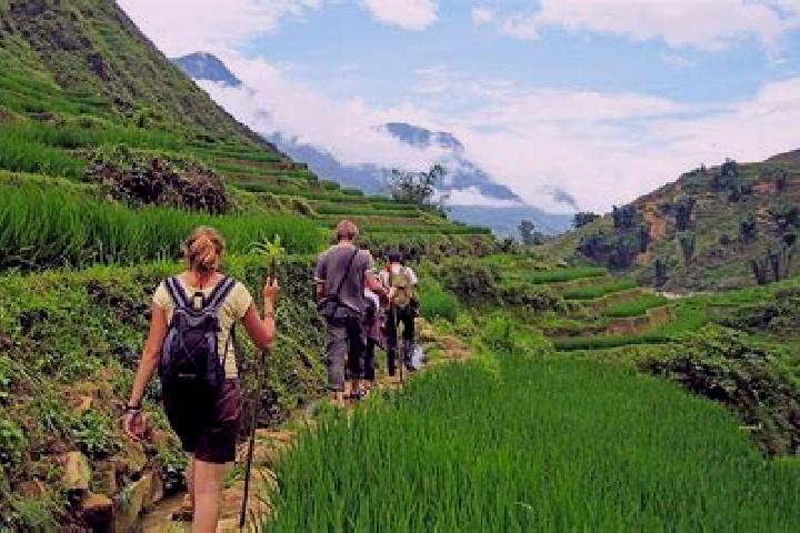 Escorts Lao Chai, Vietnam — Local Companions