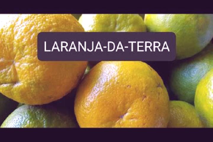 Escorts Laranja da Terra, Brazil — Local Companions