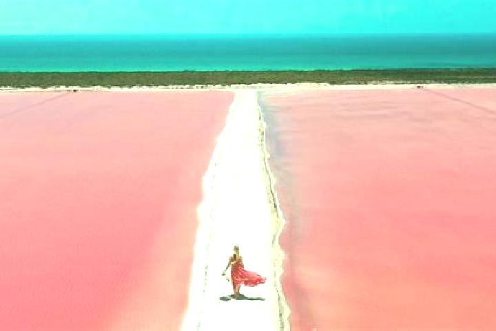 Escorts Las Coloradas, Mexico — Local Companions