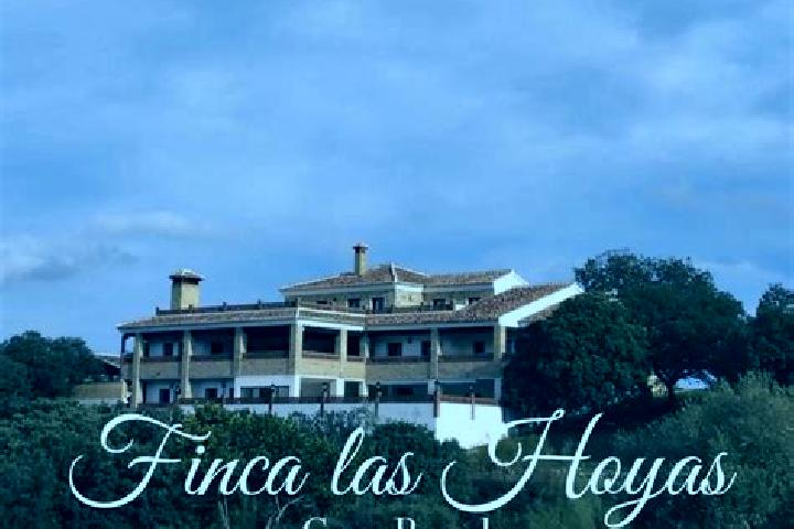 Escorts Las Hoyas Altas, Mexico — Local Companions