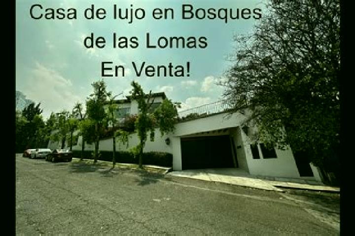 Escorts Las Lomas, Mexico — Local Companions