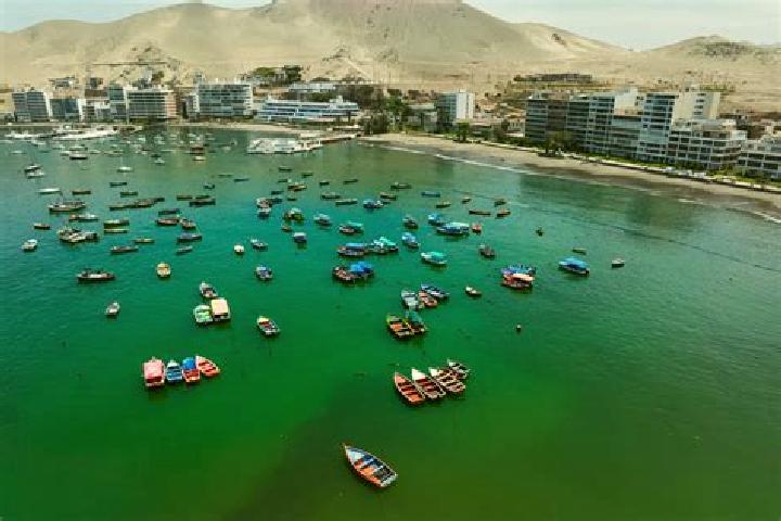 Escorts Las Salinas, Peru — Local Companions
