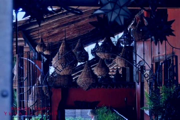 Escorts Las Taponas, Mexico — Local Companions