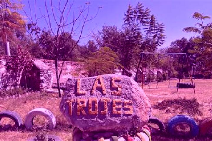 Escorts Las Trojas, Mexico — Local Companions