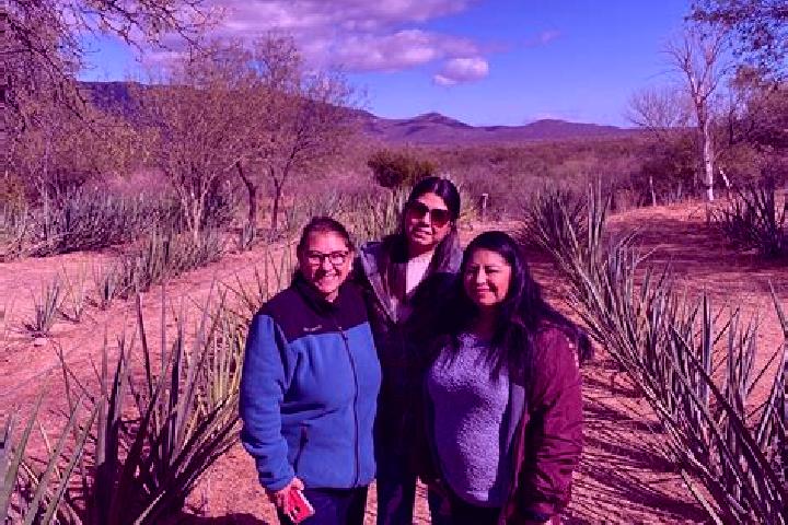 Escorts Las Vinatas, Mexico — Local Companions