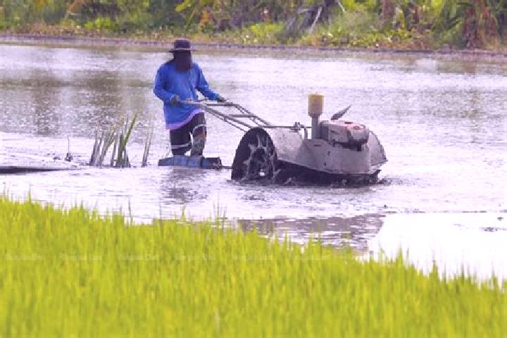 Escorts Lat Lum Kaeo, Thailand — Local Companions