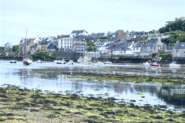 Escorts Le Conquet, France — Local Companions