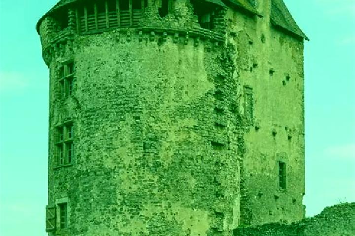 Escorts Le Donjon, France — Local Companions