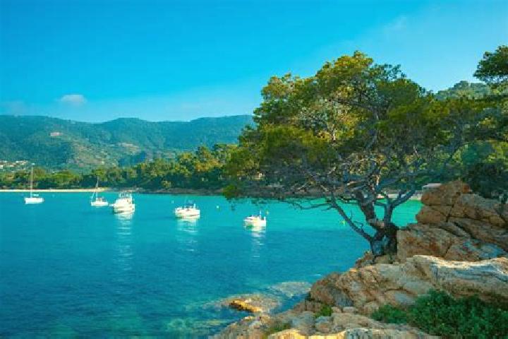 Escorts Le Lavandou, France — Local Companions