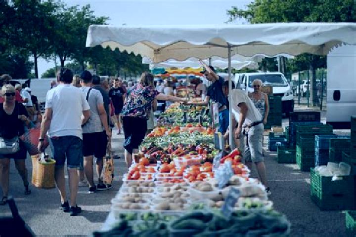 Escorts Le Vieux-Marche, France — Local Companions