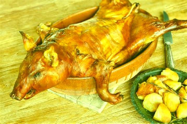 Escorts Lechon, Spain — Local Companions