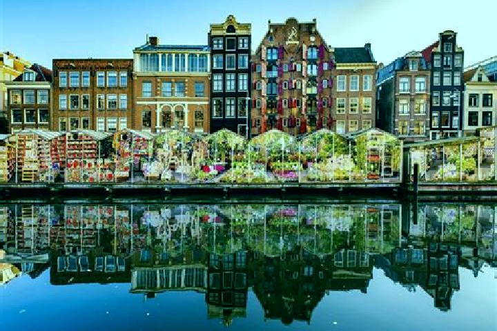 Escorts Leest, Netherlands — Local Companions