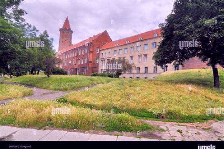 Escorts Legnica, Poland — Local Companions