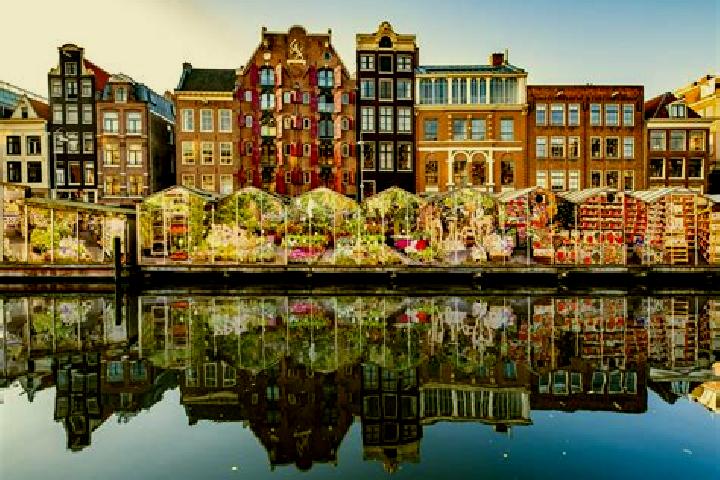 Escorts Lepelstraat, Netherlands — Local Companions