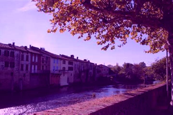 Escorts Les Bordes-sur-Arize, France — Local Companions