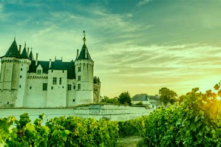 Escorts Les Ulmes, France — Local Companions