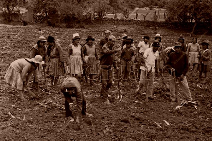 Escorts Libertad Campesina, Mexico — Local Companions