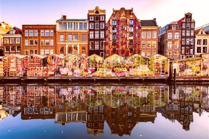 Escorts Liesveld, Netherlands — Local Companions