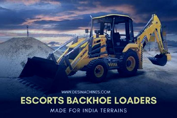 Escorts Limbodi, India — Local Companions