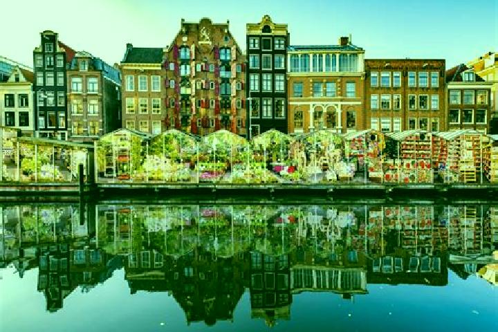 Escorts Lindenholt, Netherlands — Local Companions