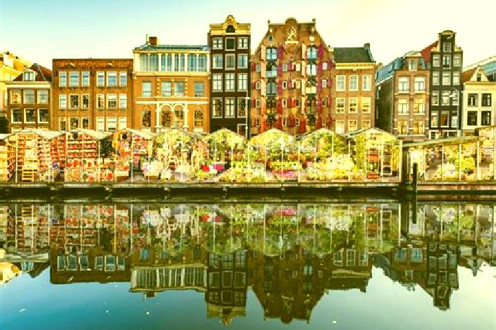 Escorts Linne, Netherlands — Local Companions