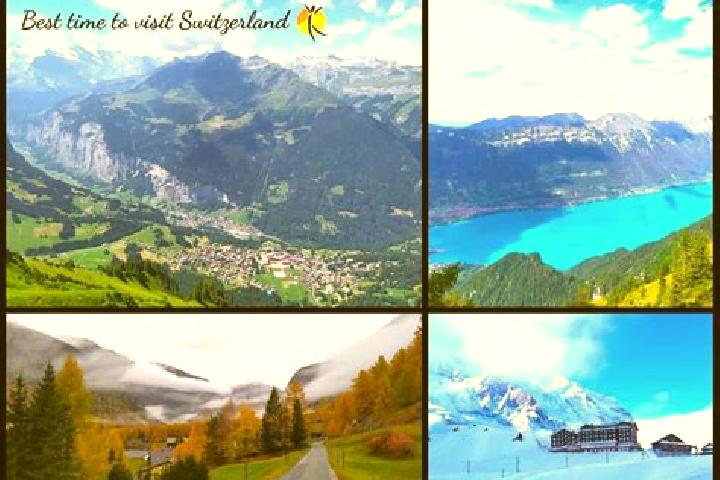 Escorts Littau, Switzerland — Local Companions