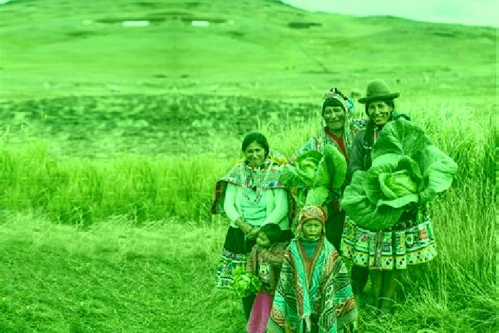 Escorts Llalli, Peru — Local Companions