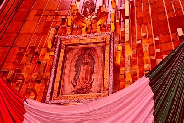 Escorts Llano de Guadalupe, Mexico — Local Companions