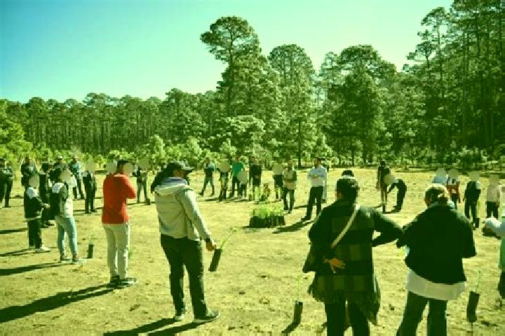 Escorts Llano de Zacapexco, Mexico — Local Companions